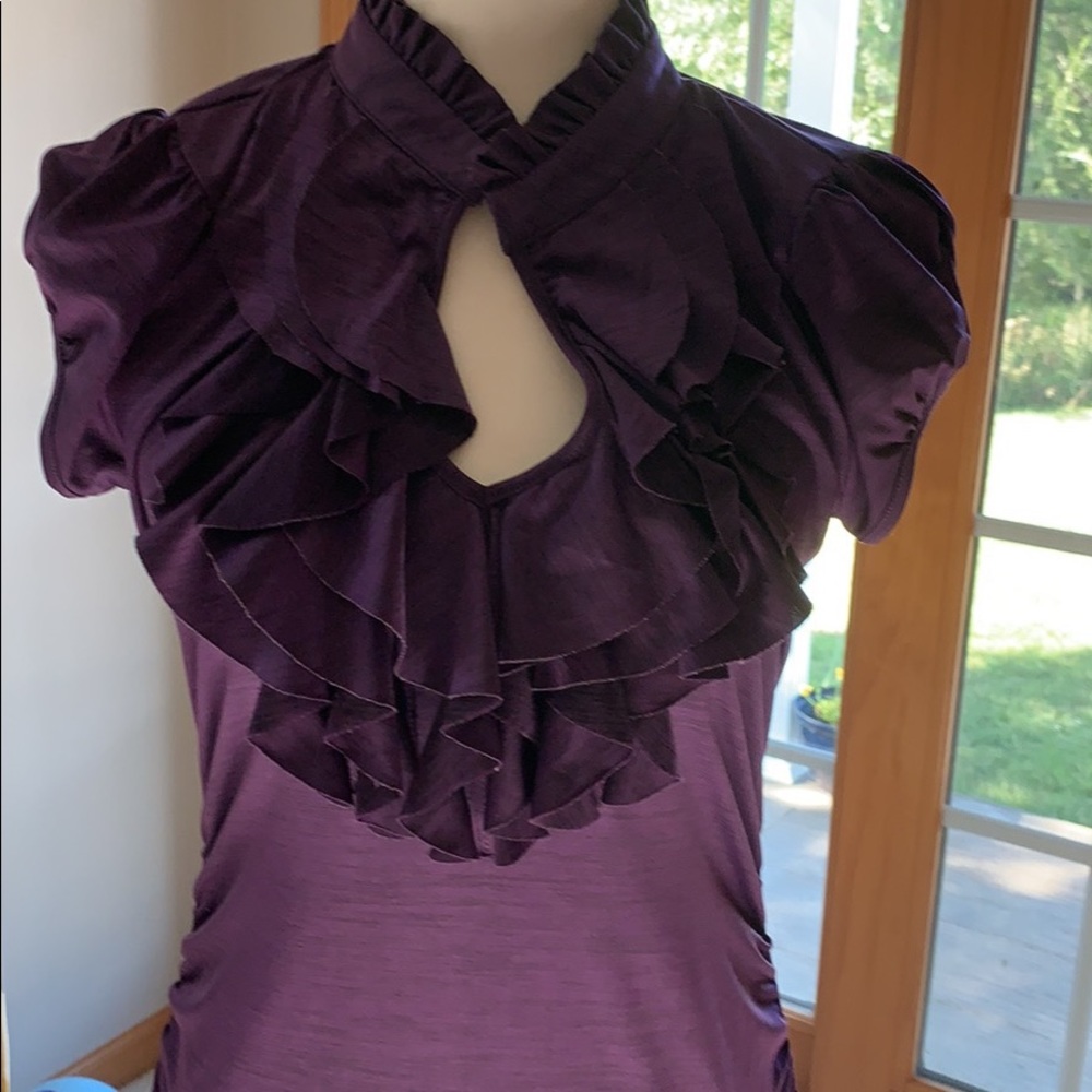 Solid purple blouse (polyester rayon blend)